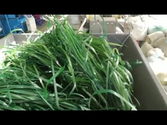 Eenastig versnipper van zachte materialen